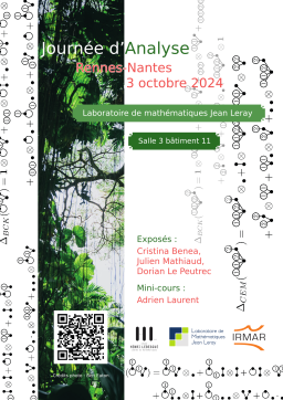 Affiche de la journée Rennes Nantes d'Analyse 2024